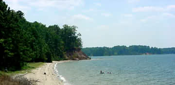 Toledo Bend Lake beach area